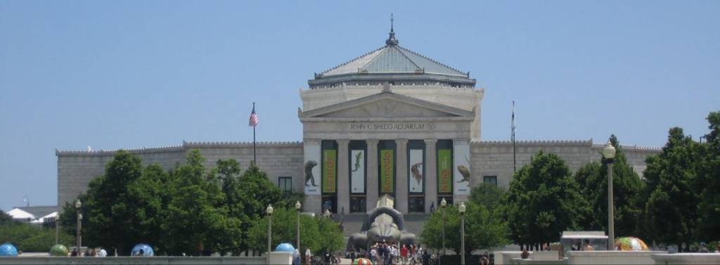 Museums in Chicago