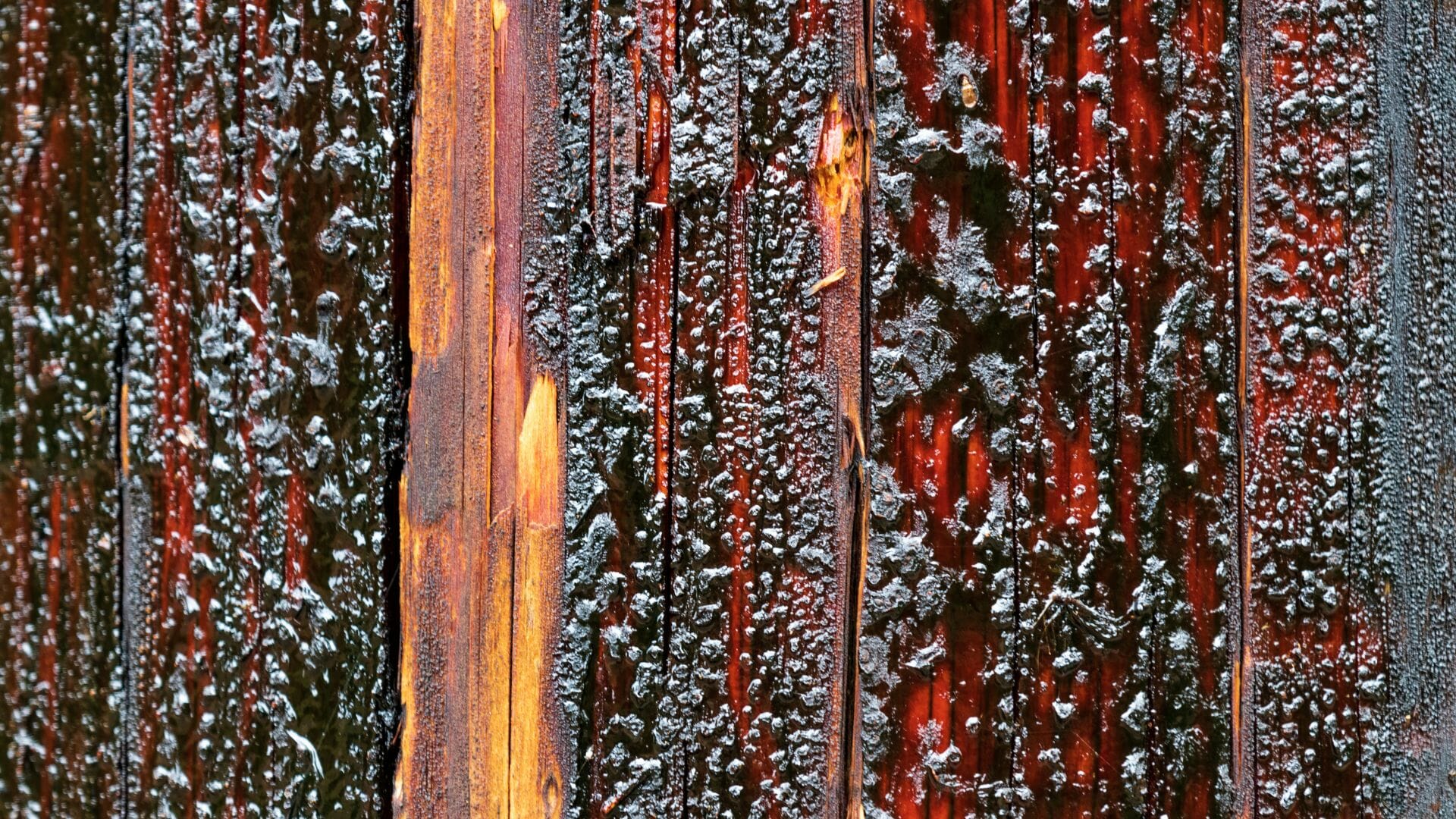 Creosote Exposure