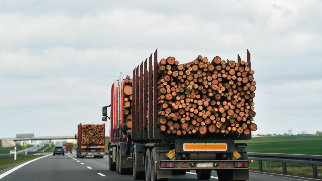Logging Truck Accident