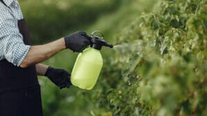 Roundup Poisoning