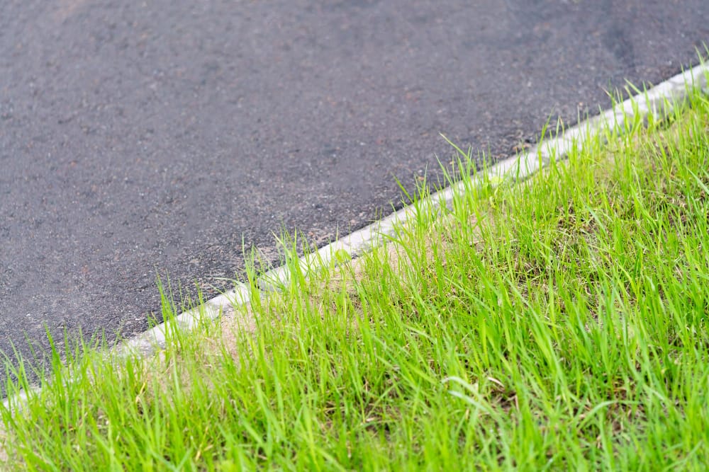 Do Grass Clippings Cause Motorcycle Accidents?