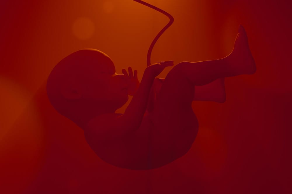 What Is Umbilical Cord Compression? Showing umbilical cord compression during childbirth.