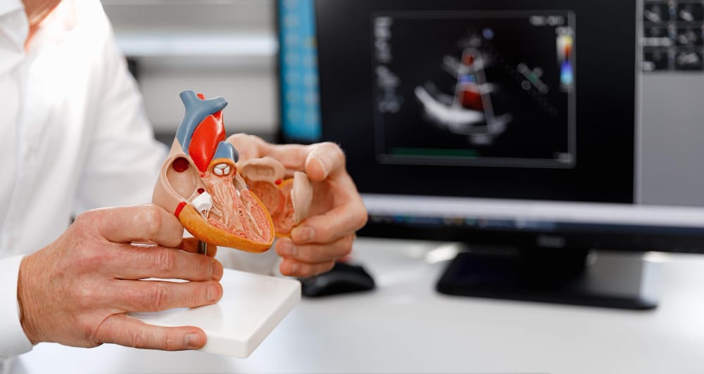 Fetal Bradycardia Causes & Complications