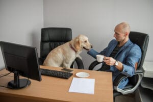 The Risks of Bringing Your Dog or Other Pet to Workplace